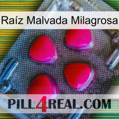 Raíz Malvada Milagrosa 13